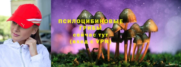 ALPHA-PVP Медногорск