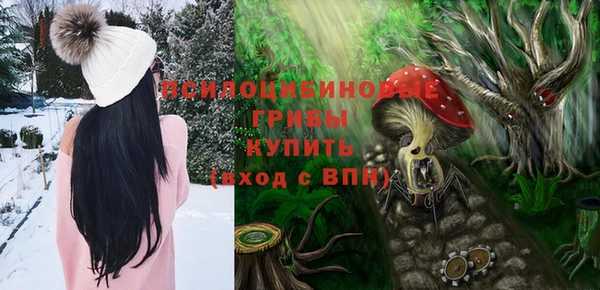 2c-b Абдулино