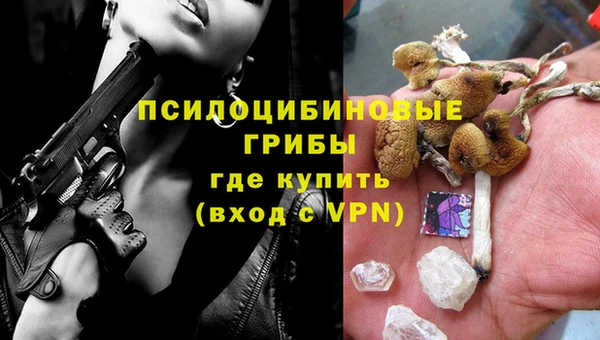 дмт Медвежьегорск