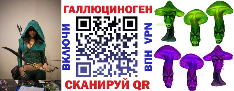 ОМГ ОМГ зеркало  Арамиль  Псилоцибиновые грибы Psilocybine cubensis 